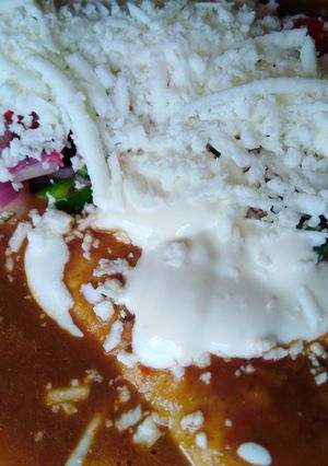 Una foto de Enfrijoladas (sin aceite) con pico de gallo