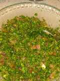 Taboule