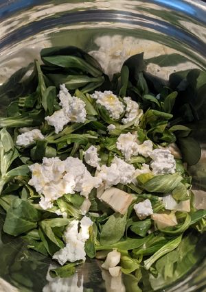 Une photo de Salade mâche, chèvre frais, fenouil