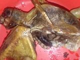 Burung dara 🐦 goreng spesial