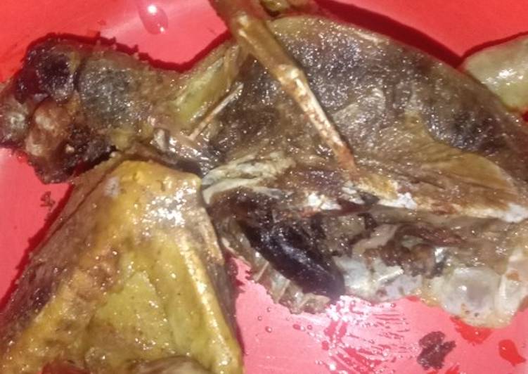 Masakan Unik Burung dara 🐦 goreng spesial Nikmat Lezat