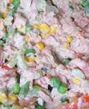 Atún y Vegetales/Ensalada Rica
