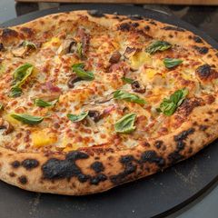 A picture of Neapolitan Pizza Dough.