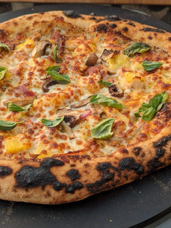 A picture of Neapolitan Pizza Dough.