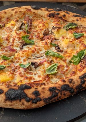 A picture of Neapolitan Pizza Dough.