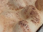 Una foto de pan de tapioca