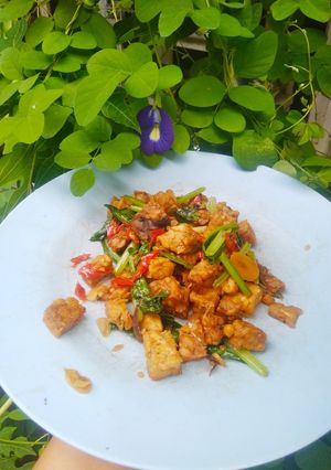 Foto resep Terik Tempe Sawi Hijau