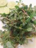 Ensalada de verdolagas 