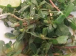 Una foto de Ensalada de verdolagas 