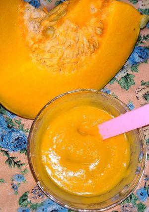 Foto resep MPASI labu kuning susu
