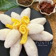 Punten