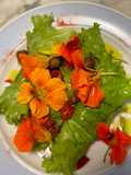 Involtini lattuga e feta con olive taggiasche fiori di nasturzio e fiori di senape