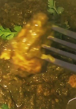 A picture of Pressure cooker palak chicken curry.