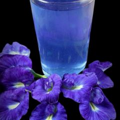 A picture of Butterfly pea flower tea.