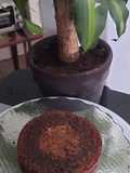 Bizcocho tipo brownie fudgy