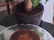 Una foto de brownie de chocolate