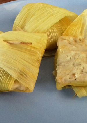 A picture of Corn parcel.