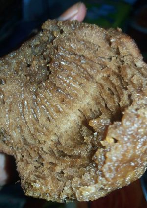 Foto resep Cake sarang semut pake pan terbul mini
