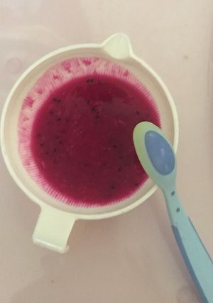 Foto resep Resep MPASI 6M Oat+Naga+Melon Kuning