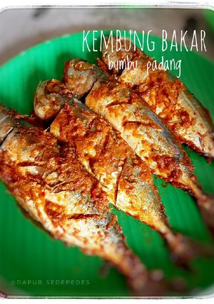 Foto resep Kembung Bakar Bumbu Padang