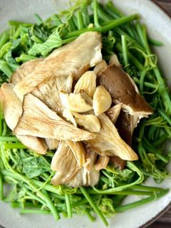 秀珍菇炒龍鬚菜 / 家常菜 的食譜成品照片