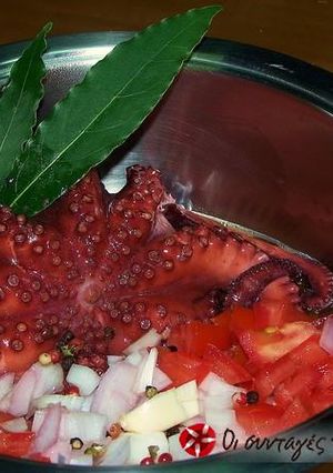 A picture of Drunken octopus.