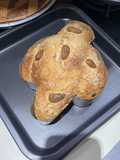Colomba fit