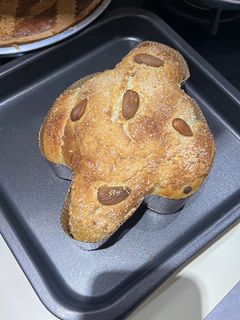 Foto di Colomba fit