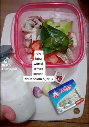Foto resep Mpasi 6 bulan :Bubur uduk lele (slow cooker)