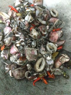 Foto resep Cumi-cumi Hitam Pedas