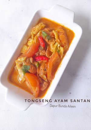 Foto resep Tongseng Ayam Santan