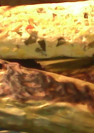 Foto resep Pepes tahu