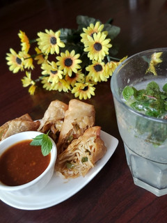 A picture of Veg spring roll.