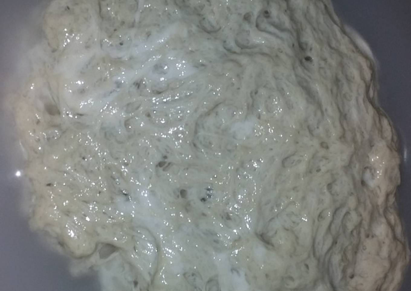 Gluten/Daging Palsu