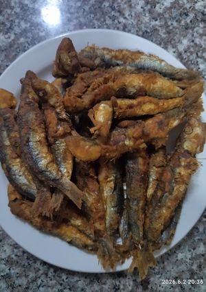 صورة لوصفة سردين مقلي بالدرسة