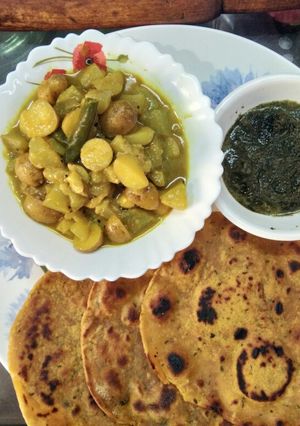 A picture of Veg aloo paratha.