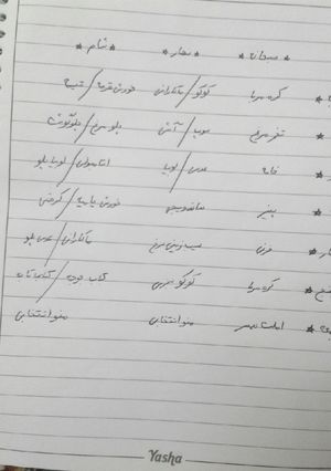 عکسی از دستور منوی هفتگی کامل شده 😆