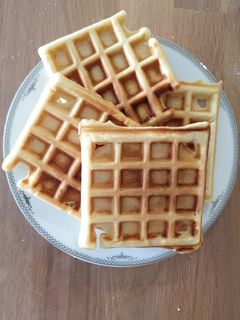 A picture of Waffle.