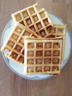 A picture of Waffle.