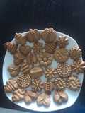 Galletas de chocolate sin gluten y sin lactosa