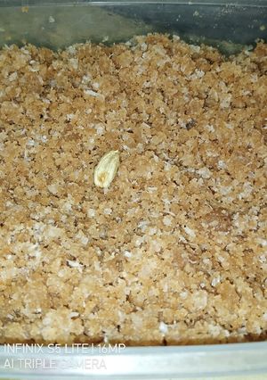 A picture of Meethi Chooori(بور).