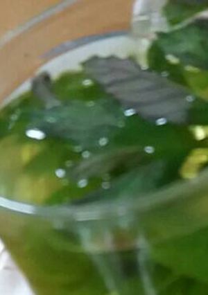 صورة لوصفة نعنع
