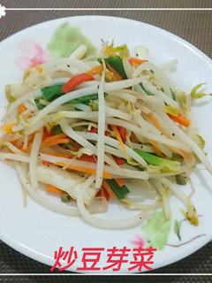 炒豆芽菜(簡單料理) 的食譜成品照片