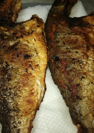 صورة لوصفة سمك دينيس مقلي 🐟