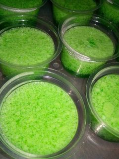 Foto resep Puding Lumut