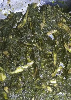 Foto resep Sambal Teri Cabe ijo