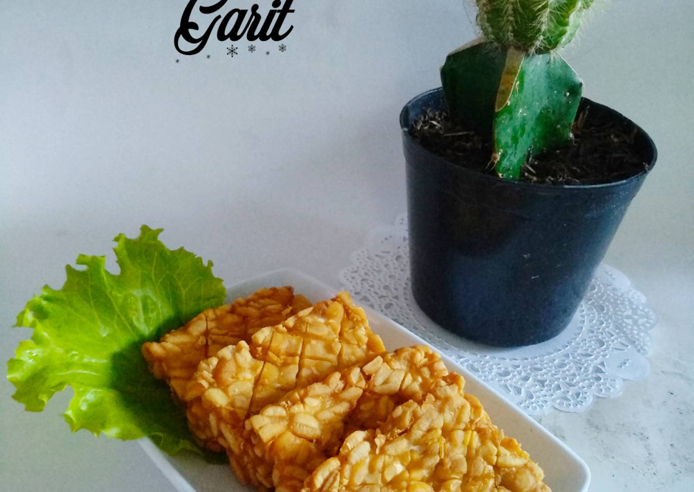 Tempe Goreng Garit
