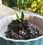 Cara Mudah Membikin Resep Bubur ketan hitam yang Menggugah Selera Anti Ribet, Lezat
