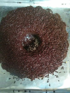 Foto resep Brownies kukus lumer coklat meses keju