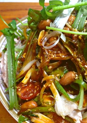 麻辣涼拌雞絲 的食譜成品照片